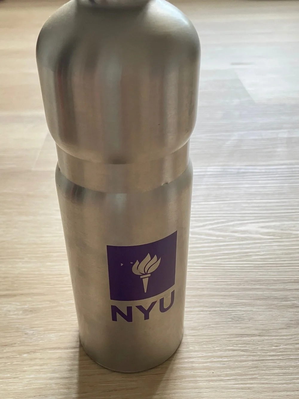 Stainless Steel Silver Water Bottle with Purple Logo